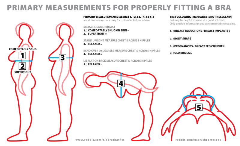 Illustration for article titled Bra sizing